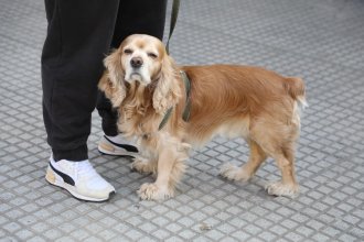 WhatsApp Image 2025-09-25 at 11.05.49.jpeg